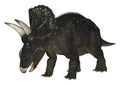 Dinosaur Diceratops Royalty Free Stock Photo