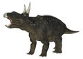 Dinosaur Diceratops Royalty Free Stock Photo