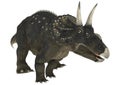 Dinosaur Diceratops Royalty Free Stock Photo