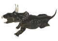 Dinosaur Diceratops Royalty Free Stock Photo