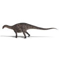 Dinosaur Dicraeosaurus Royalty Free Stock Photo