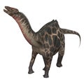 Dinosaur Dicraeosaurus Royalty Free Stock Photo