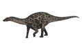 Dinosaur Dicraeosaurus Royalty Free Stock Photo