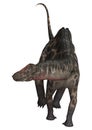 Dinosaur Dicraeosaurus Royalty Free Stock Photo