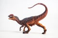 Dinosaur , Dilophosaurus on white background Royalty Free Stock Photo