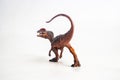 Dinosaur , Dilophosaurus on white background Royalty Free Stock Photo