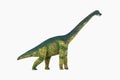 Dinosaur diplodocus