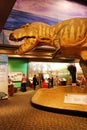 Dinosaur Display at the Boston Museum of Science