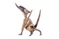 dinosaur , Dsungaripterus isolated background Royalty Free Stock Photo
