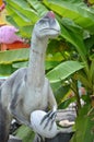 Dinosaur eggs hold statues