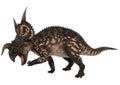 Dinosaur Einiosaurus Royalty Free Stock Photo