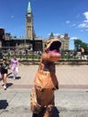 Dinosaur exhiibit promotion in Ottawa