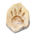 Dinosaur footprint in rock . Watercolor paint design . Vector