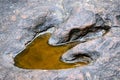 Dinosaur footprint