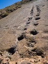 Dinosaur footprint in Toro Toro, Bolivia