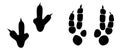 Dinosaur footprint tracks vector set illustration. Background with paw, claw predator. Dinosaur footprint illustration Royalty Free Stock Photo