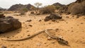Dinosaur Fossil Half Buried in Dry Desert Ground Generative AI