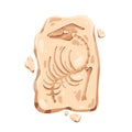 Dinosaur fossil stone, ancient old prehistoric imprint. Archeology art, rock with organic fossilized footprint of dino