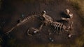 Dinosaur Fossil Tyrannosaurus Rex Found by Archaeologists Royalty Free Stock Photo