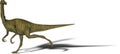 Dinosaur Gallimimus