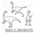 Dinosaur Gallimimus Cartoon Vector Illustration Monochrome