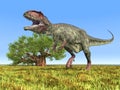 Dinosaur Giganotosaurus Royalty Free Stock Photo