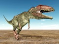 Dinosaur Giganotosaurus Royalty Free Stock Photo