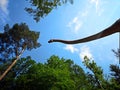 Dinosaur head and long neck Royalty Free Stock Photo