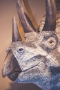 Dinosaur head Royalty Free Stock Photo