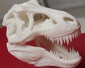 Dinosaur head shaped cnc router.