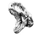 Dinosaur head sketch vector