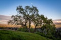 Dinosaur Hill Park at Sunset Royalty Free Stock Photo