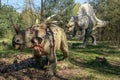Dinosaur hunt for food. Royalty Free Stock Photo