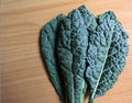 Dinosaur kale pile  isolate on wooder. close up skin texture Royalty Free Stock Photo