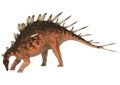 Dinosaur Kentrosaurus