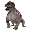 Dinosaur Keratocephalus Royalty Free Stock Photo