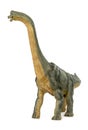 Dinosaur long necked sauropod diermibot breed name Brachiosaurus