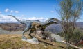 Dinosaur Model in Cretaceous Park of Cal Orcko - Sucre, Bolivia Royalty Free Stock Photo