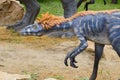 Dinosaur model Troodon in Dinosaur Park Royalty Free Stock Photo