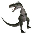 Dinosaur Monolophosaurus Royalty Free Stock Photo