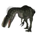 Dinosaur Monolophosaurus Royalty Free Stock Photo
