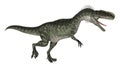 Dinosaur Monolophosaurus Royalty Free Stock Photo