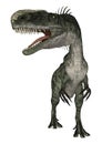 Dinosaur Monolophosaurus Royalty Free Stock Photo