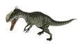 Dinosaur Monolophosaurus Royalty Free Stock Photo