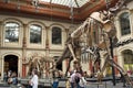 Dinosaur museum