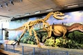 Dinosaur National Monument wall dino bones