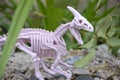 dinosaur in natural conditions toy skeleton, the concept of the era of dinosaurs Royalty Free Stock Photo