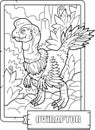 dinosaur oviraptor, coloring book for children, outline illustration
