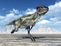 Dinosaur Pachycephalosaurus