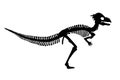 Dinosaur Pachycephalosaurus Skeleton Silhouette Illustration Isolated Royalty Free Stock Photo